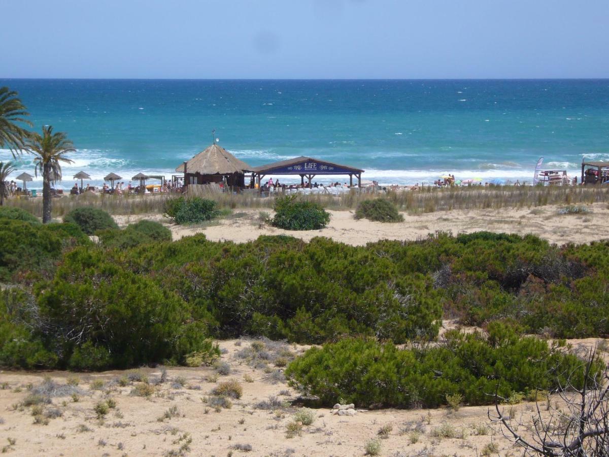 Descansa Y Disfruta De Las Mejores Playas 아레날레스 델 솔 외부 사진